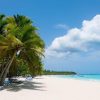 From Punta Cana: Saona Island Day Trip with Buffet Lunch - Image 8