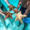 Punta Cana: Isla Saona Day Trip with Catamaran Party - Image 2