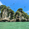 Los Haitises Boat Ride + Caño Hondo Natural Pools - Image 8