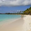 Saona Island: 6 Hour Private Tour with Snorkeling - Image 7