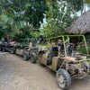 Wild Off-Road Dune Buggy Adventure in Punta Cana - Image 8