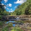 Punta Cana: Higuey, Coffee and Cocoa Tasting Tour with Lunch - Image 9