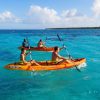 Punta Cana: Reef Explorer Access w/ Sharks & Stingrays Swim - Image 8