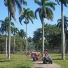 Amber Cove - Taino Bay 4 Seaters Super Buggy Tour - Image 8