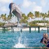 Punta Cana Dolphin Swim Adventure: 40-min Dolphin Experience - Image 8