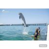 Punta Cana: Dolphin Explorer Swims and Encounters - Image 6