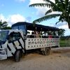 From Bayahibe: Half Day Monkeyland Safari - Image 8