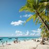 Punta Cana: Boat Tour to Isla Saona, Open Bar & Buffet Lunch - Image 8