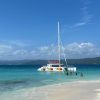 Samaná: Catamaran Boat Tour with Snorkeling and Lunch - Image 8