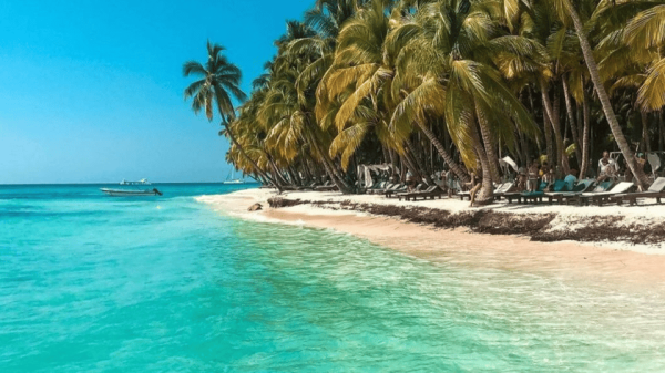 Saona Island Full-Day with Pickup in your Hotel Punta Cana