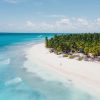 All Inclusive Saona Island Experience from Punta Cana - Image 9