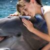 Dolphin Encounter for Dominican Residents - Image 5