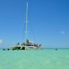 Experience Saona Island from Punta Cana - Image 8