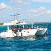 Catalina Island Scuba Diving Tour from Punta Cana - Image 9