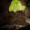 Los Haitises Boat Ride + Caño Hondo Natural Pools - Image 9