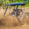 Punta Cana: Off-road Buggy Adventure in the Jungle - Image 9