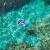 Punta Cana: Reef Explorer Access w/ Sharks & Stingrays Swim - Image 9