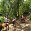 Dominican Republic: El Limón Waterfall Horseback Riding Tour - Image 9