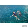 Punta Cana: Dolphin Explorer Swims and Encounters - Image 7