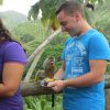 Punta Cana: Ziplines Adventures & Monkeyland Entry - Image 9