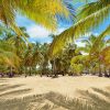 Punta Cana: Boat Tour to Isla Saona, Open Bar & Buffet Lunch - Image 9