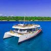 PARTY BOAT WITH OPEN BAR CATAMARAN CRUISE PUNTA CANA - Image 9