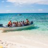 Punta Cana: Full-Day Snorkeling Tour to Catalina Island - Image 8