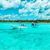 Discover Saona Island: Enjoy The Paradise - Image 10