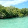 Saona Island: Small Group Virgin Beaches Cruise Day Trip - Image 10