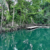 Las Terrenas: Just Los Haitises Boat and Walking Tour - Image 17