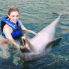 Punta Cana: Swim with Dolphins in the Pool - Image 10