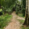 3in1: Los Haitises N P + Yanigua Waterfall + Montaña Redonda - Image 11