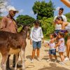 Punta Cana: Zipline, Chairlift, Buggy & Horse Ride Adventure - Image 12