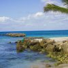 Saona Island: 6 Hour Private Tour with Snorkeling - Image 10