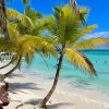 Punta Cana: Boat Tour to Isla Saona, Open Bar & Buffet Lunch - Image 11