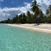 Saona Island: Small Group Virgin Beaches Cruise Day Trip - Image 11