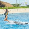 Punta Cana: Swim with Dolphins in the Pool - Image 2