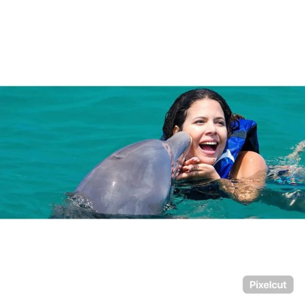 Punta Cana: Dolphin Explorer Swims and Encounters