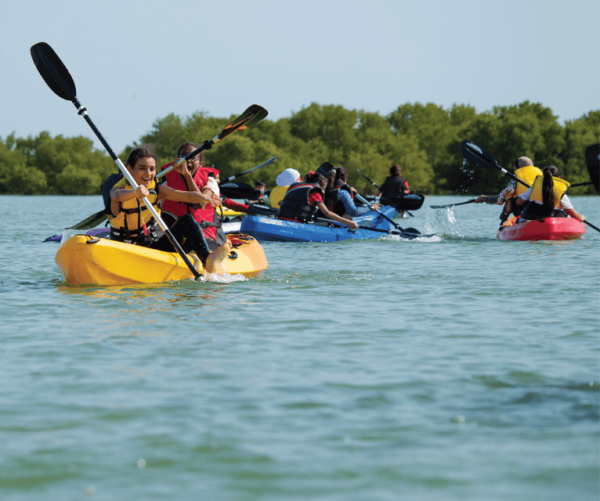 Sabana de la Mar: Los Haitises Guided Hike and Kayaking