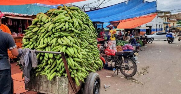 From Puerto Plata Priv: Cocoa, Coffee, Cigars & Local Market