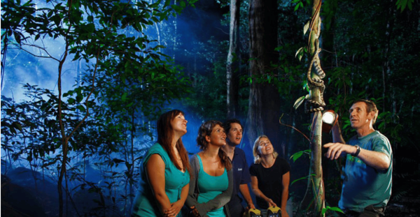 Los Haitises Night Hike In The Rainforest