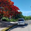 Private Transfer from Riu Palace Bavaro to SDQ - Image 2