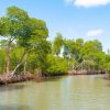 Santo Domingo: Los Haitises National Park Day Trip - Image 2