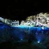 Bayahibe: National Park Jungle Walk & Snorkeling in Cenotes - Image 2