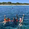 From Punta Cana: Small Group Catalina Island Snorkeling Tour - Image 2