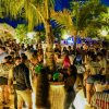 Punta Cana: Maroca Club VIP Fit (Entry, Drinks & Transfers) - Image 2