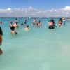 Punta Cana: Catalina Island Private Day Trip with Snorkeling - Image 2