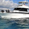 Punta Cana offshore private fishing charter "Sherlock" 39 ' - Image 2