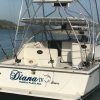 Puerto Plata: Deep Sea Fishing Tour - Image 2