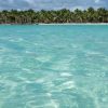 Punta Cana: Saona Island All-Inclusive Day Trip - Image 2